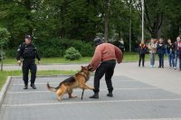 zdjęcie z Dnia z Policja