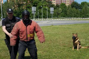 policjant z psem służbowym
