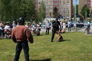 policjant z psem służbowym