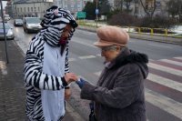 akcja Zebra