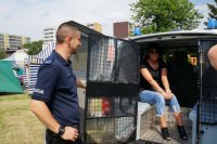 policjanci na festynie