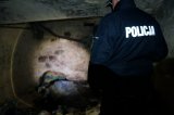 policjanci