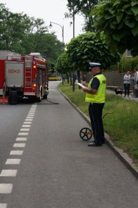 policjant wykonujący czynności na drodze