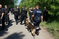 policjanci idą razem z przewodnikiem psa