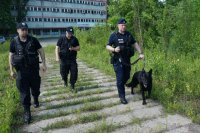 policjant z psem służbowym i dwoma policjantami idą drogą wśród drzew