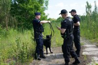 policjant z psem służbowym i dwoma policjantami uzgadnia zakres poszukiwań