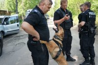 policjant ze swoim psem służbowym