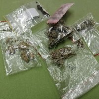 narkotyki w woreczkach