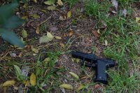 pistolet na trawie