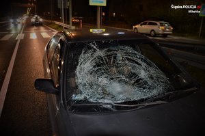 samochód z pękniętą przednią szybą