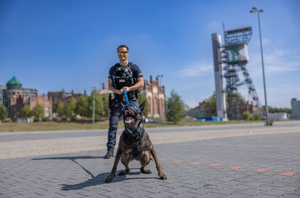 na zdjęciu policjant z psem