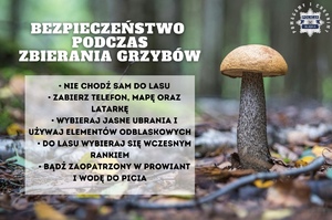 na zdjęciu plakat na którym jest grzyb i informacje dotyczące bezpieczeństwa podczas zbierania grzybów