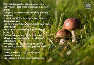 na zdjęciu plakat i rady