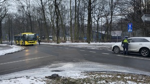 Kontrole stanu trzeźwości przez policjantów