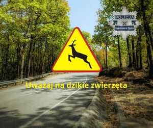 Zdjęcie przedstawia znak ostrzegawczy przed dzikimi zwierzętami. Pod nim widnieje napis "uwaga na dzikie zwierzęta, a w tle zdjęcia widać drogę przez las.